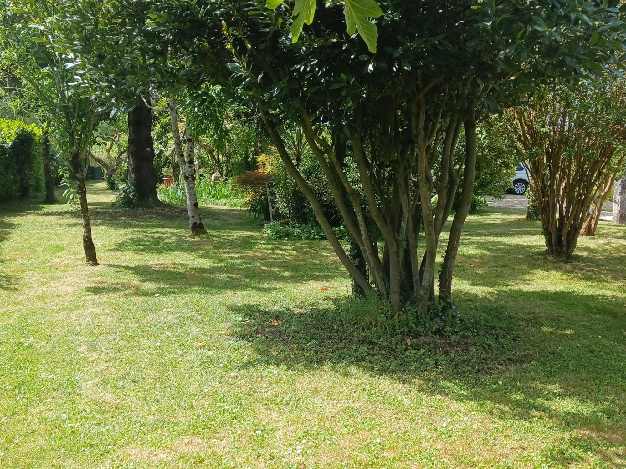 La Demeure D'Ezilda Villa Fléac-sur-Seugne Exterior foto